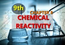 CHAPTER 8 - CHEMICAL REACTIVITY - CLASS 9