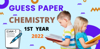 GUESS PAPER 1ST YEAR 2022